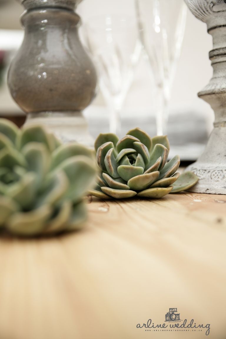 ARLINE PHOTOGRAPHY STYLED (15 of 359)
