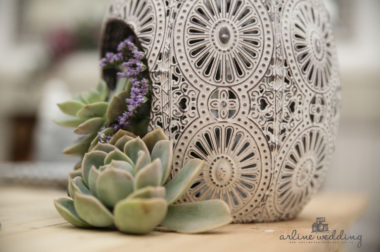 ARLINE PHOTOGRAPHY STYLED (6 of 359)